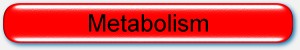 Metabolism